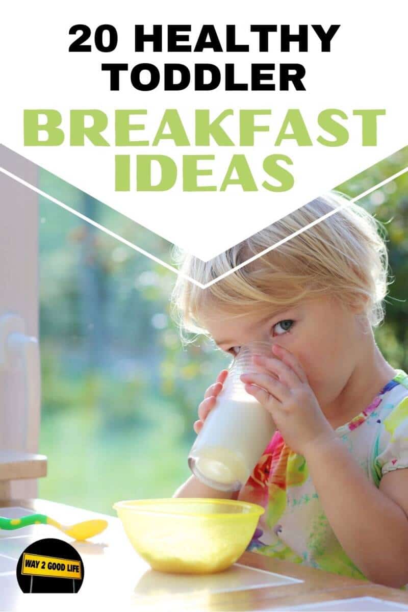 20 Unique Health Toddler Breakfast Ideas - Way 2 Good Life