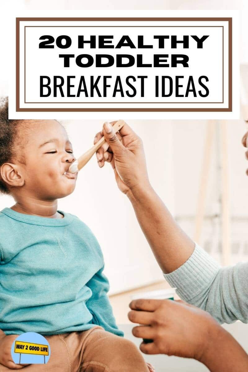 20 Unique Health Toddler Breakfast Ideas - Way 2 Good Life